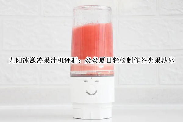 九阳冰激凌果汁机评测：炎炎夏日轻松制作各类果沙冰图片
